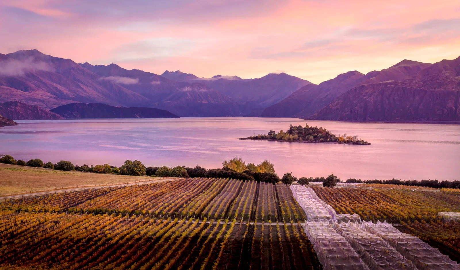 Rippon Vineyard at dusk with purple skies over Lake Wanaka