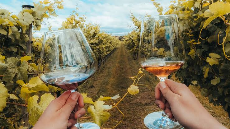 Wanaka Wine Tours